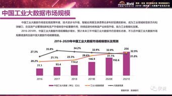 2019年中国工业大数据发展及投资价值研究——聚焦软件开发